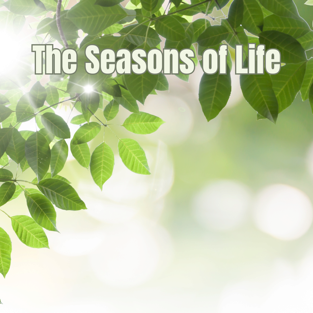 The Seasons of Life