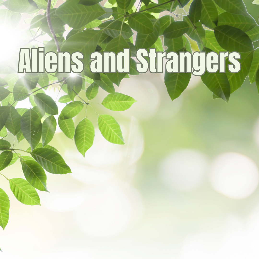 Aliens and Strangers