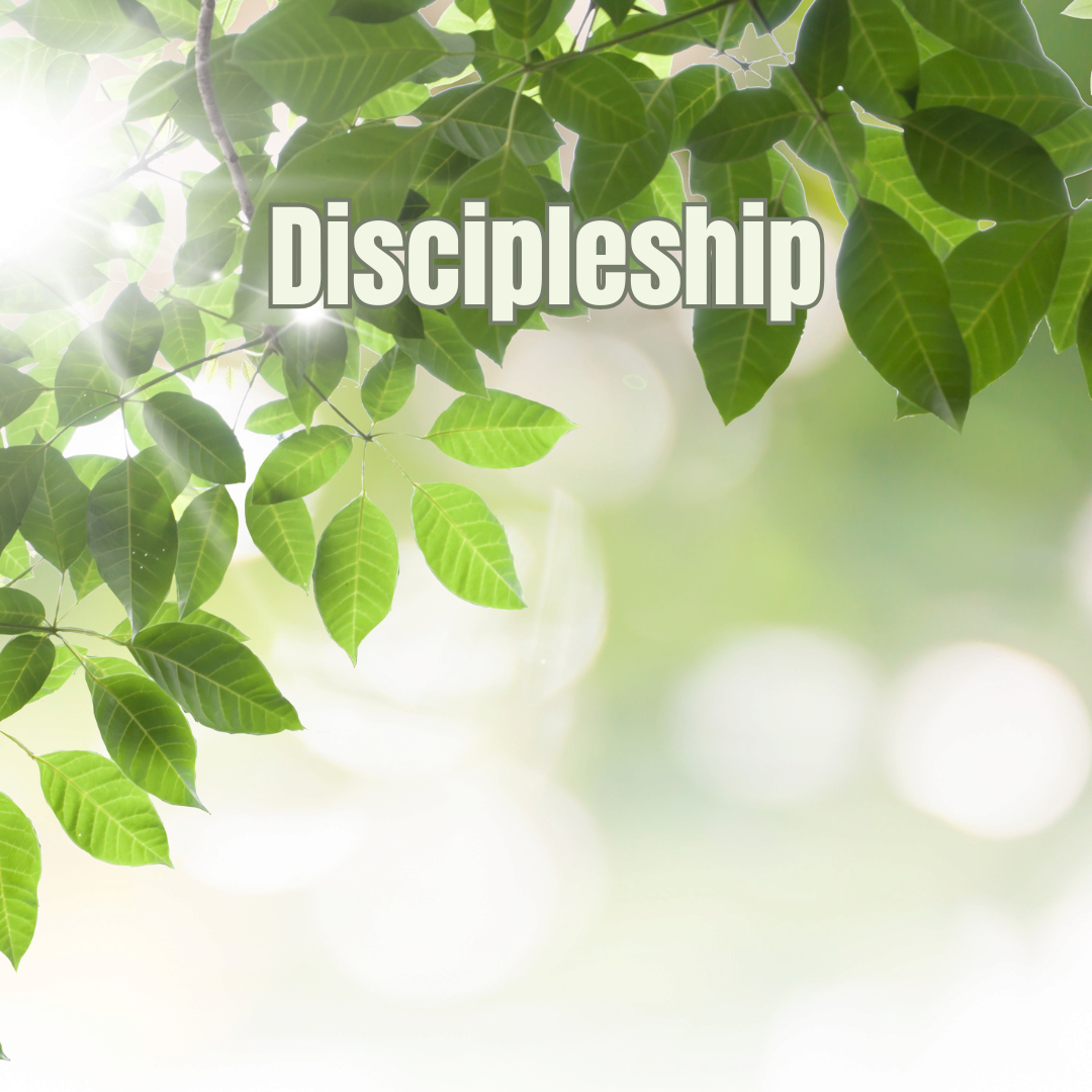Discipleship